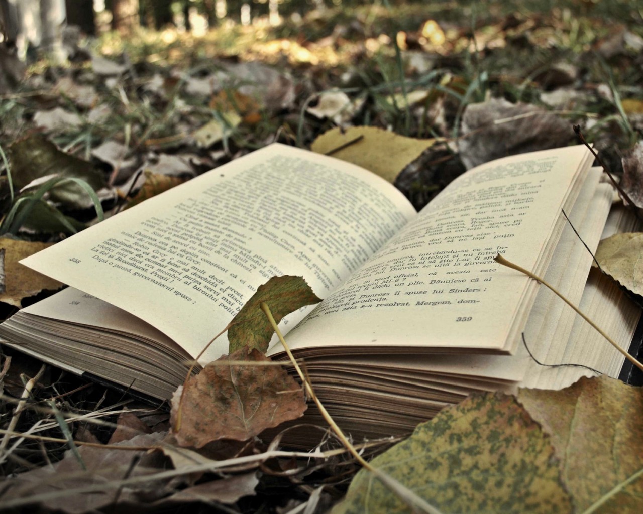 2018年山東成考要如何進行報名？