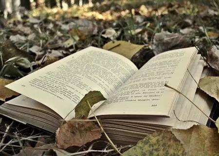 山東省成人高考考試答題技巧