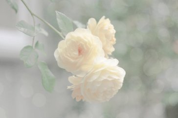 山東成考考試試卷上填錯了該怎么辦