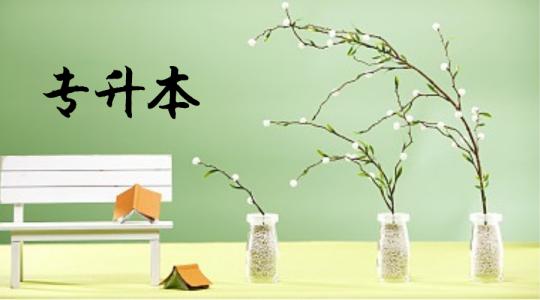 山東成人高考專升本考試科目有哪些?