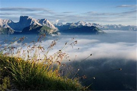 山東成人高考 成考英語(yǔ)作文