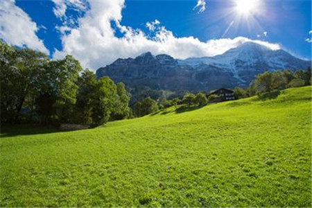 山東成考 成考英語 必考重點句型