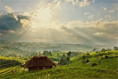 山東成人高考 成考錄取查詢