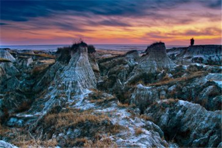 山東成考 四大決勝技巧