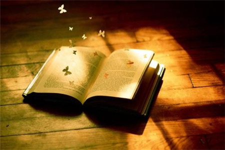 山東成人高 考英語(yǔ)備考 經(jīng)驗(yàn)分享