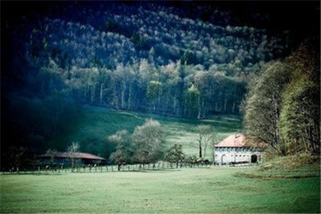 山東成人高考 成考答題注意點(diǎn)