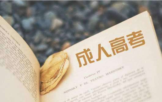 「政治每日一練」山東專升本試題(06.28)每日一練