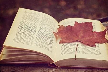 山東成人高考拿學(xué)位證有什么條件?