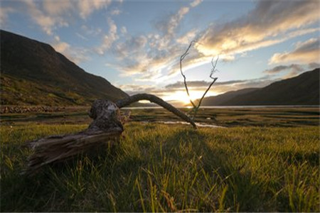 山東成考政治答題技巧