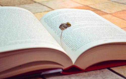 山東成人高考數(shù)學(xué)公式記憶方法