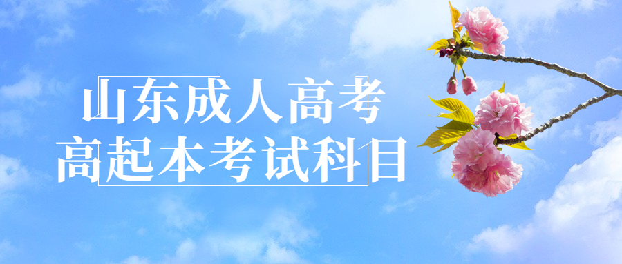 山東成人高考高起本考試科目