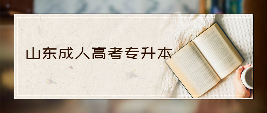 山東成人高考專升本