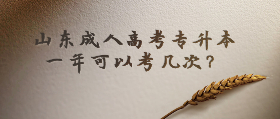 山東成人高考專升本