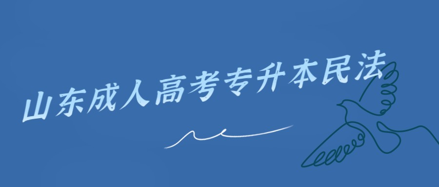 山東成人高考專升本民法