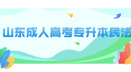 山東成人高考專升本民法