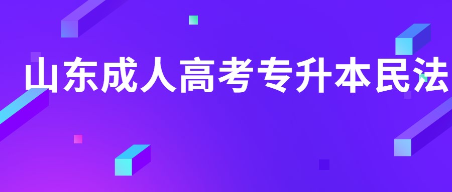 山東成人高考專升本民法