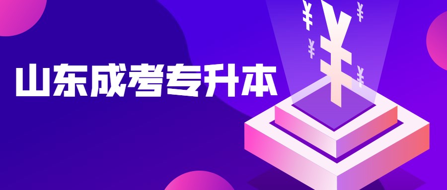 山東成考專升本