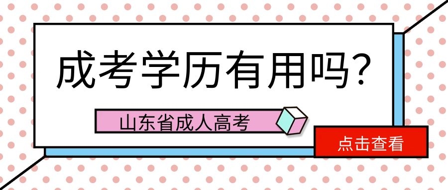 山東成考