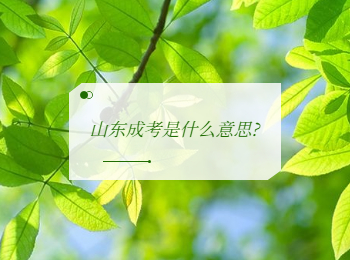 山東成考是什么意思