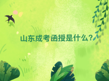 山東成考函授是什么