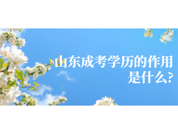 山東成考學歷的作用是什么?