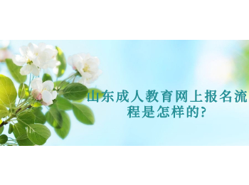山東成人教育網上報名流程是怎樣的?