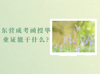 東營成考函授畢業證能干什么?