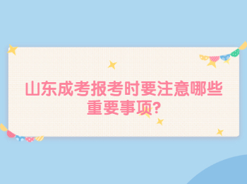 山東成考報考時要注意哪些重要事項?