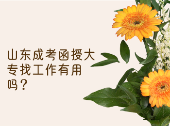 山東成考函授大專找工作有用嗎?