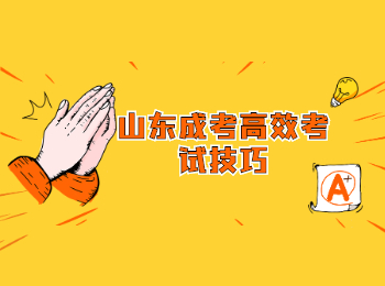 山東成考高效考試技巧