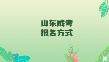 山東成考報名方式