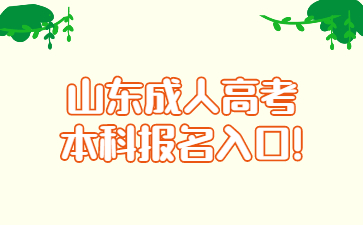 山東成人高考本科報名入口