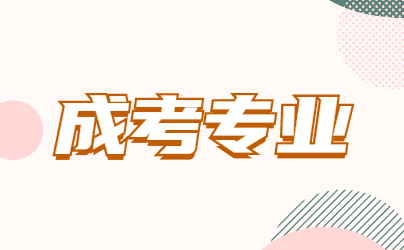 山東成考有哪些專業比較實用?
