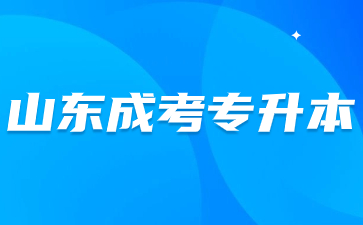 2024年山東成考專升本報名開始了嗎?