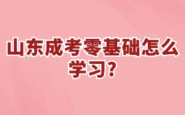 山東成考零基礎怎么學習?
