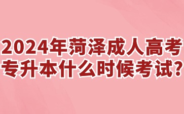 2024年菏澤成人高考專升本什么時候考試?