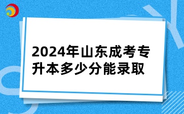 2024年山東成考專升本多少分能錄取